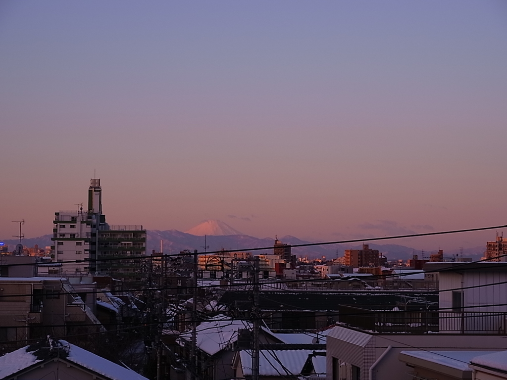 New Year Snowstorm in Tokyo Ⅰ