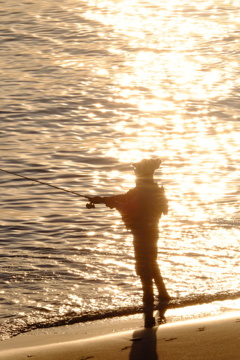 Fisherman in dusk