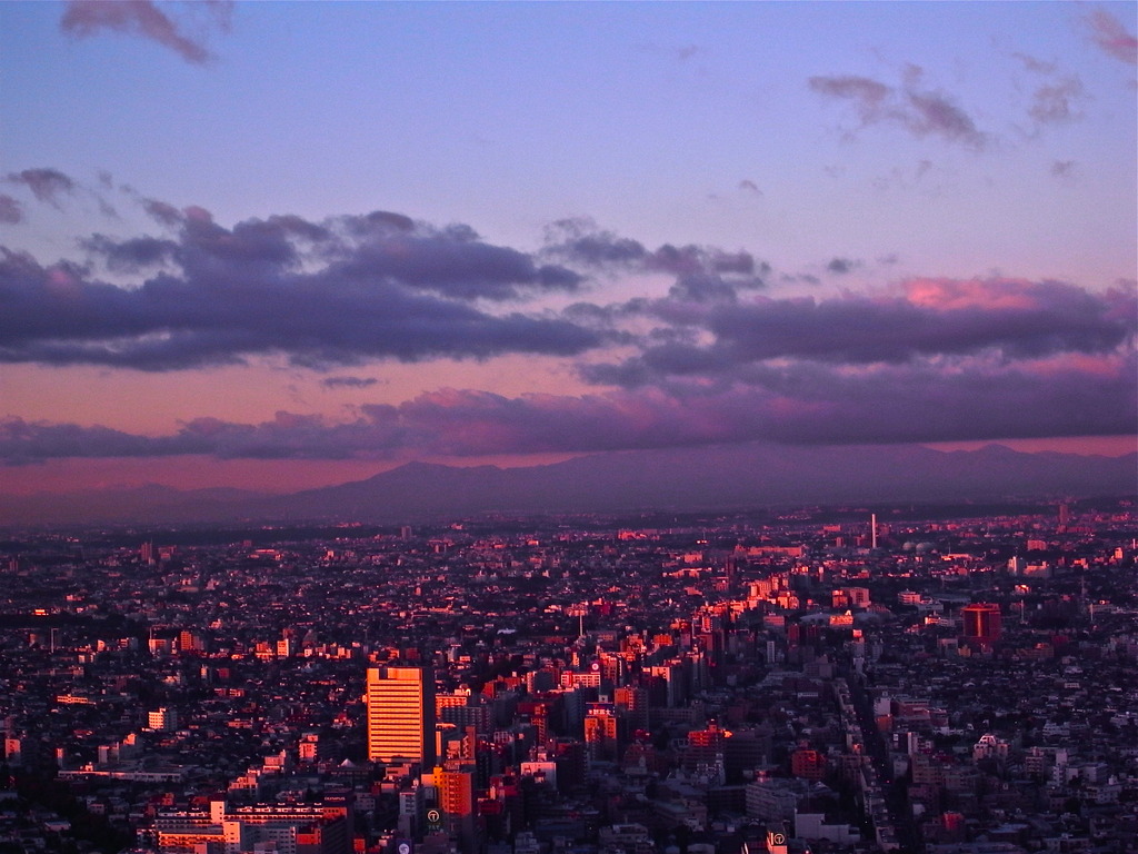 Sun Rise Shinjyuku 2