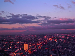 Sun Rise Shinjyuku 2