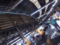 Tsukiji Market~immensity~