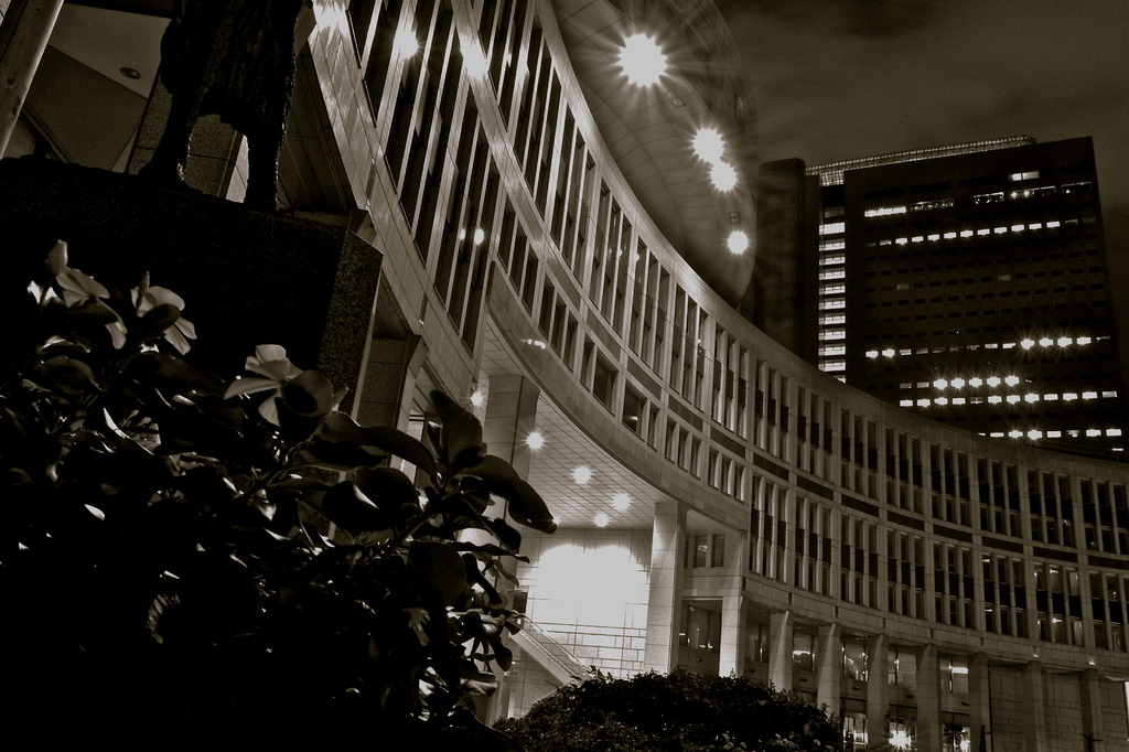 TOKYO Metropolitan Government 3