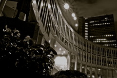 TOKYO Metropolitan Government 3