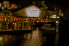 T.Y.Harbor Brewery