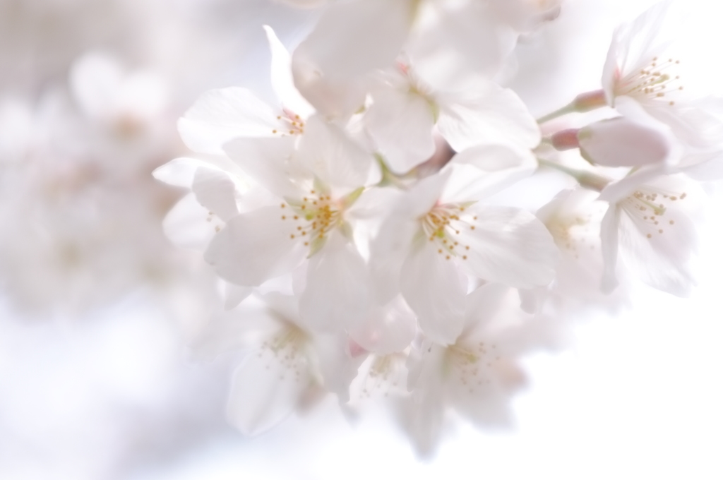 優しい陽光に包まれて