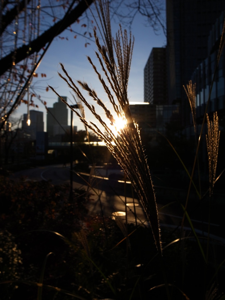 東京の夜明け３