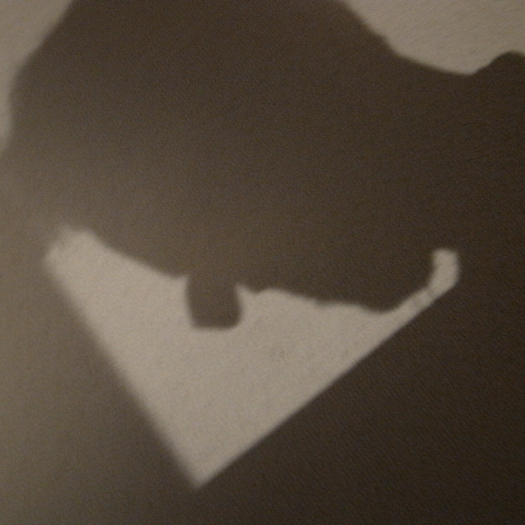 ノーファインダースナップ５　分身