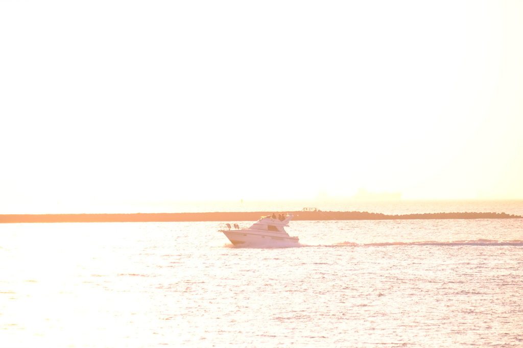 First Voyage 2014