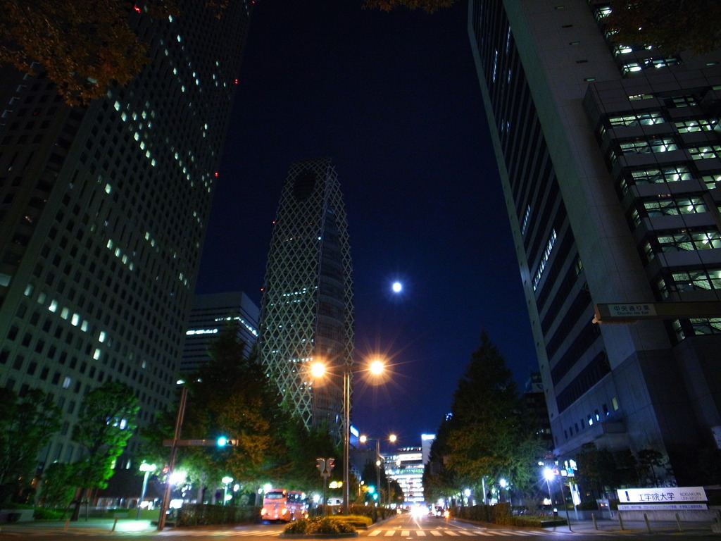 Shinjyuku Moon Light