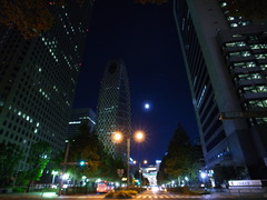 Shinjyuku Moon Light