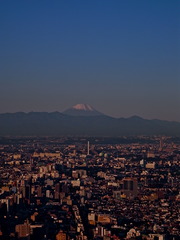 Mt.Fuji from Shinjyuku