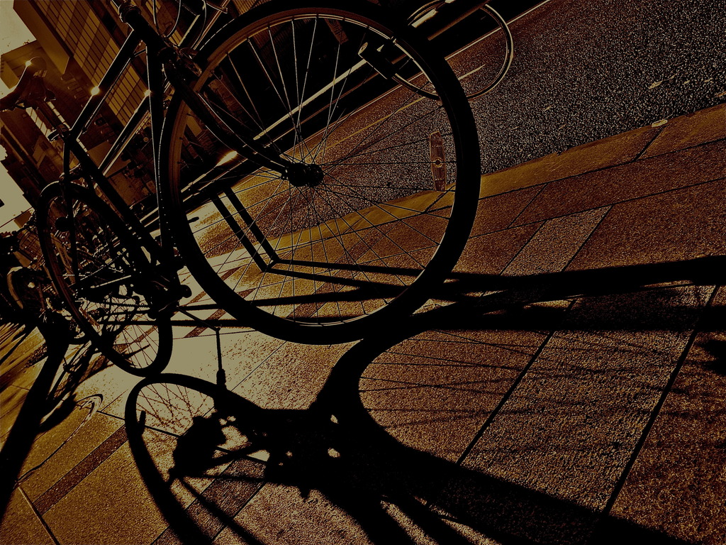 Sun Rise Cycle