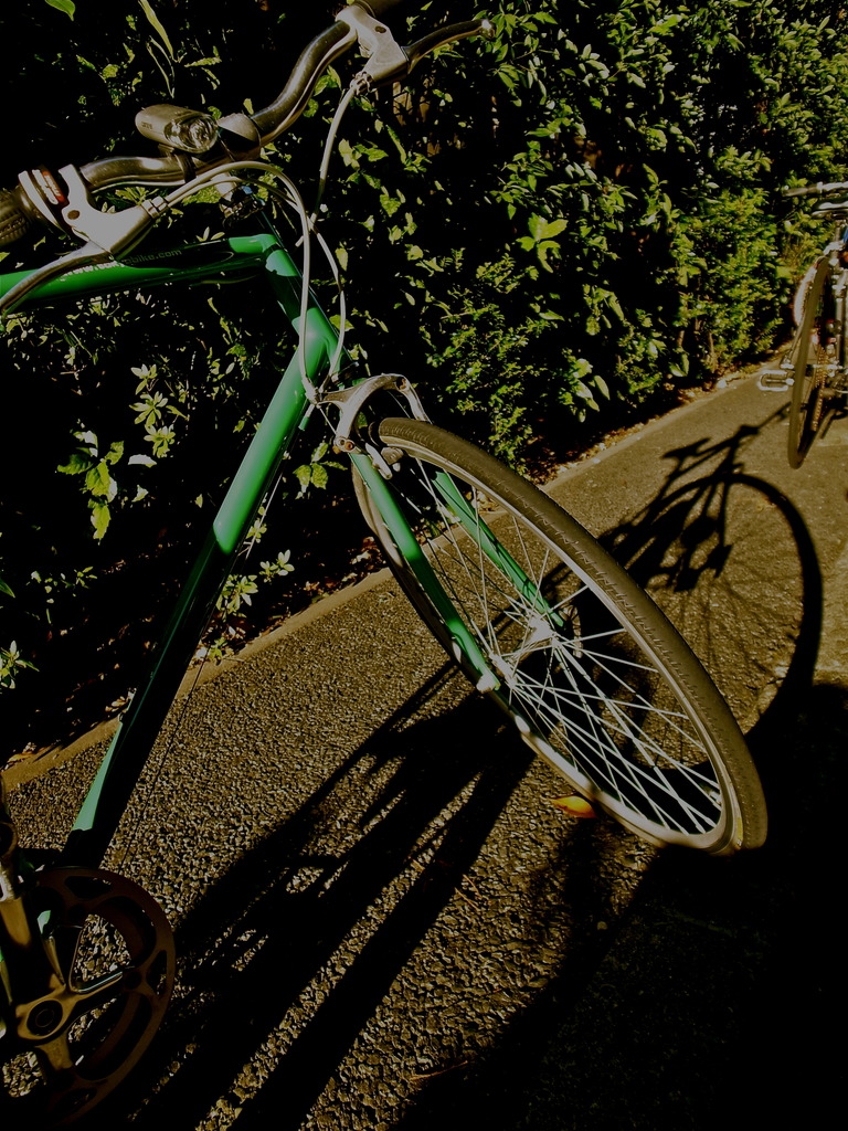 光と影　チャリ