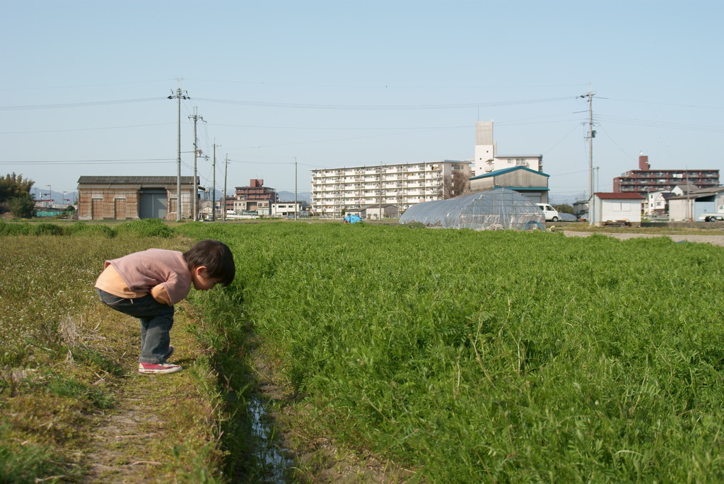 虫いないかな？