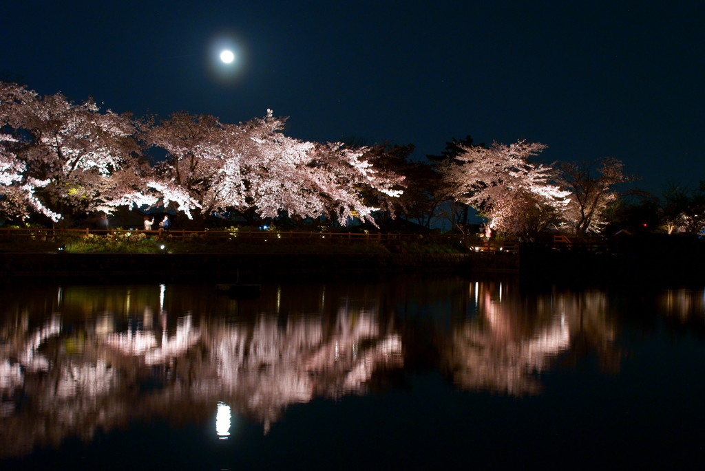 月桜