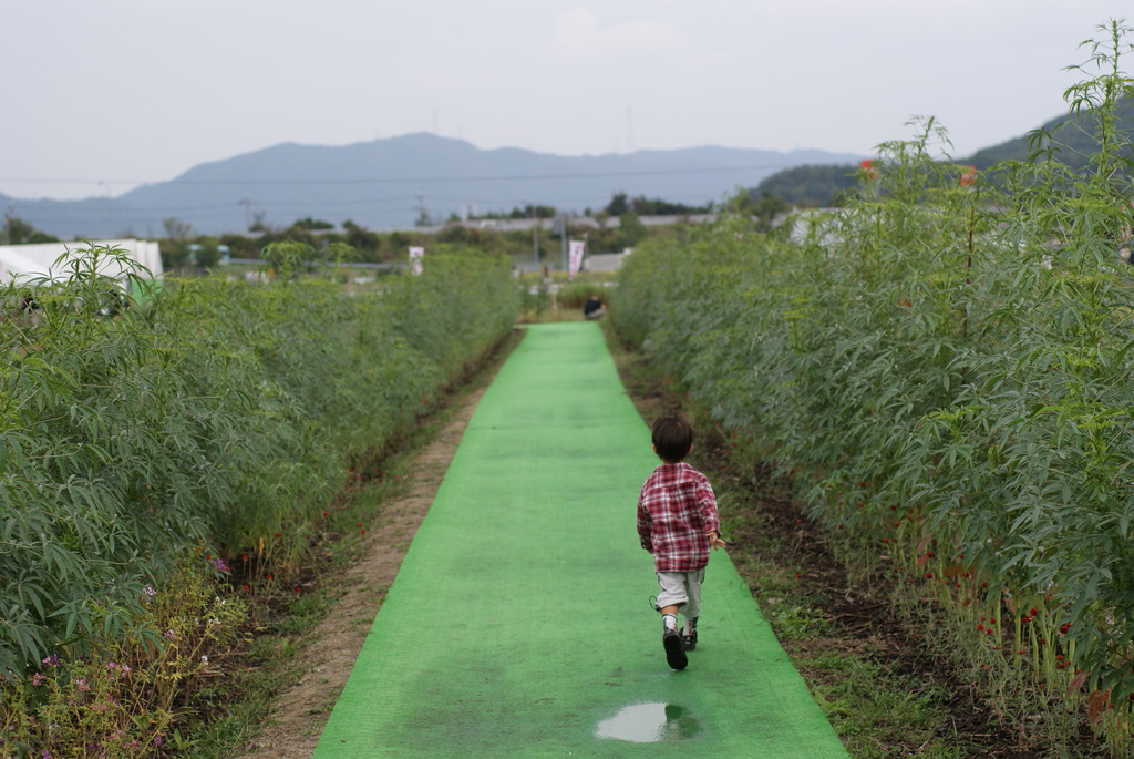 おじいちゃーん