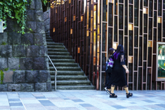 表参道をスナップ 表参道をスナップ