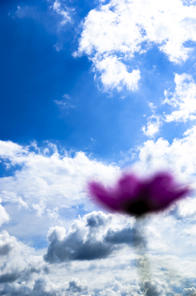 流れる雲に