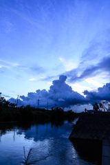 夏の雲