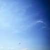 into the sky