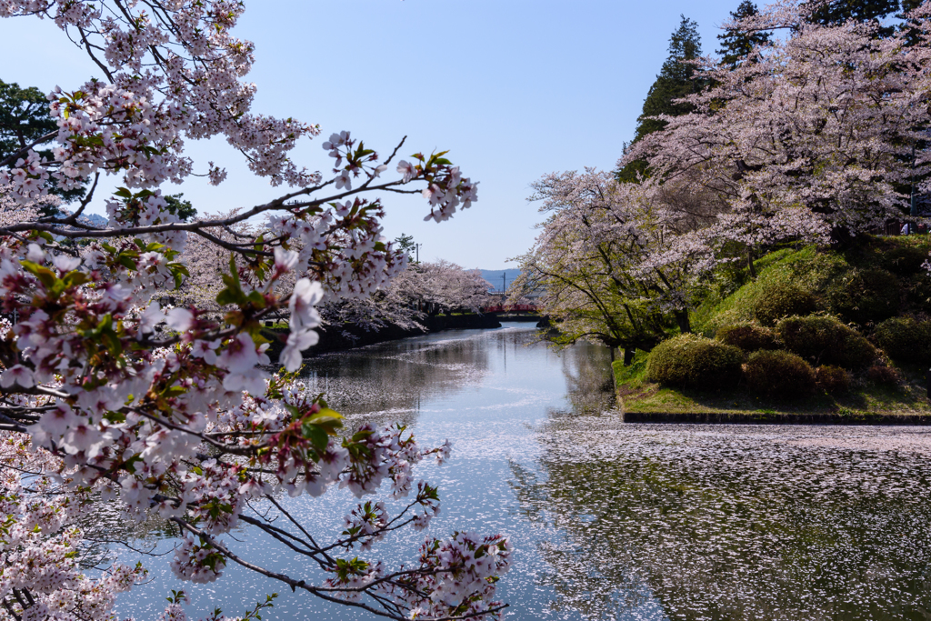 今年の見納め