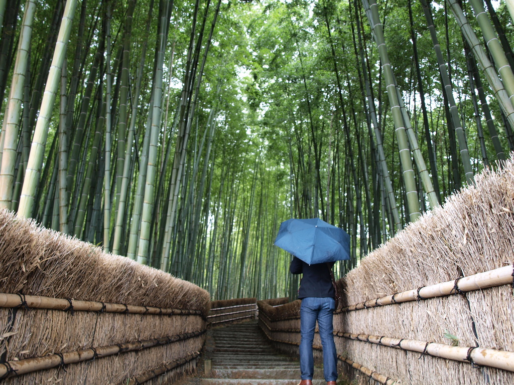 竹の小路