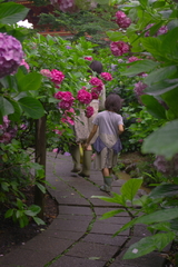 あじさい小路