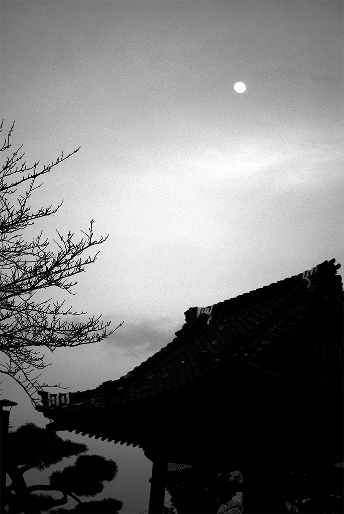 満月の夜