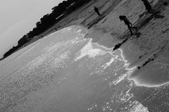 思い出の海