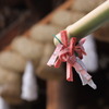 良い事がたくさんありますように･･･