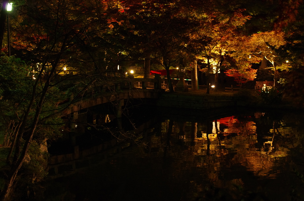 夜の庭園