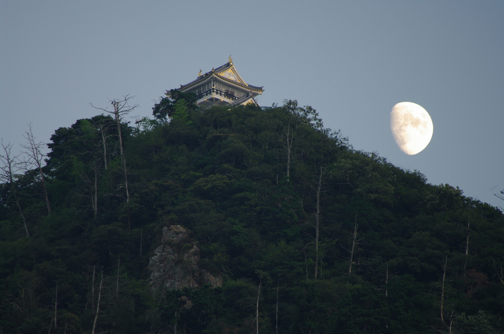 城と月