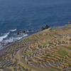 白米千枚田