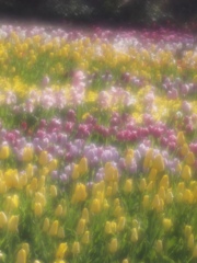 花の丘