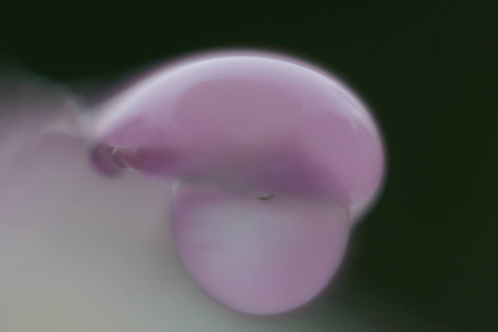 やさしくシュール