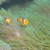 いつも元気