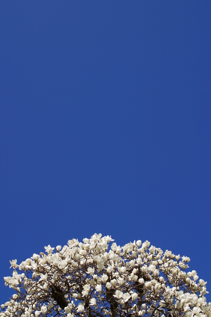 ３月の空