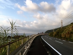 朝の散歩道