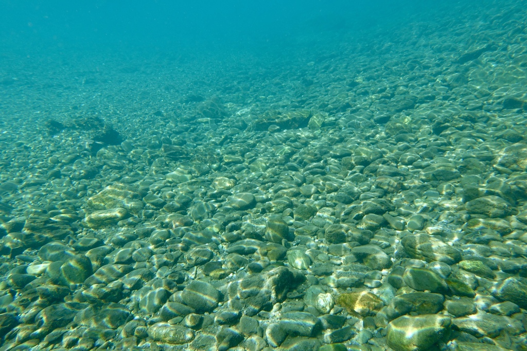RIVER DRIFT 4