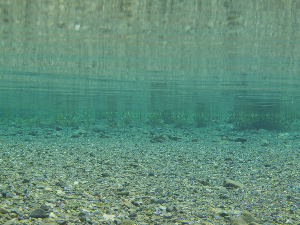 光の気配