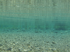 光の気配