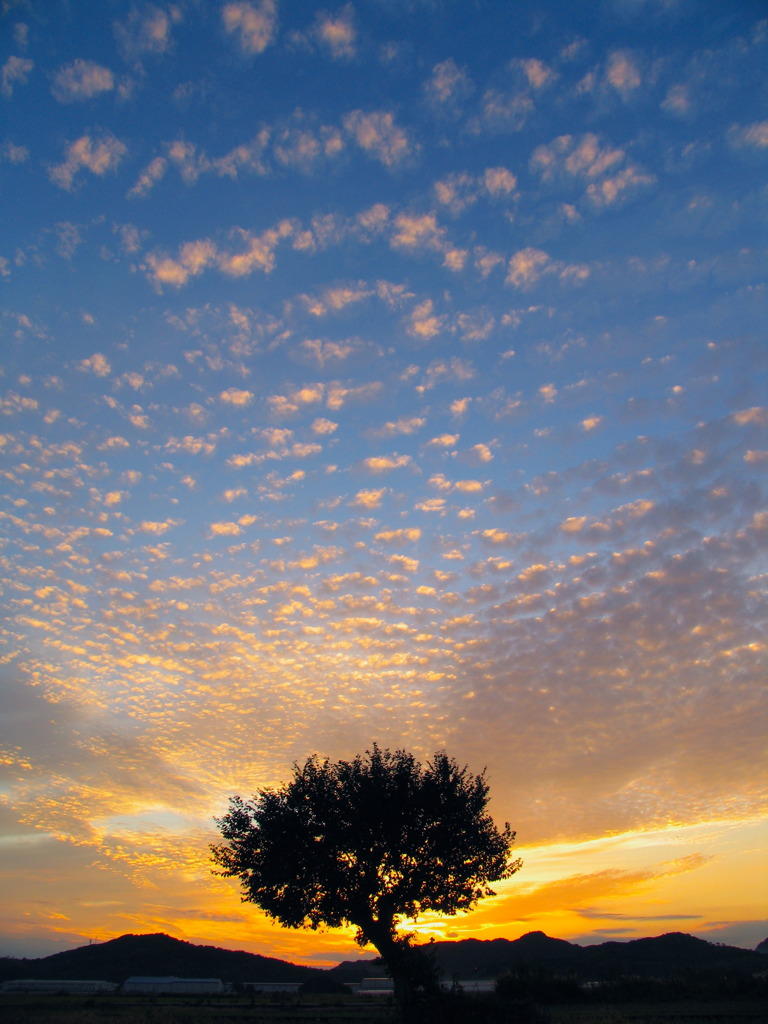 通りすがりの秋の夕暮れ