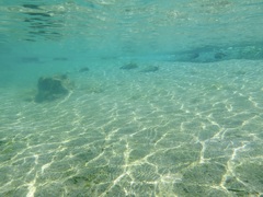 夏休み