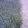 Blue Lane