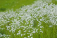 梅雨のお昼休み