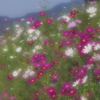 青空の下で