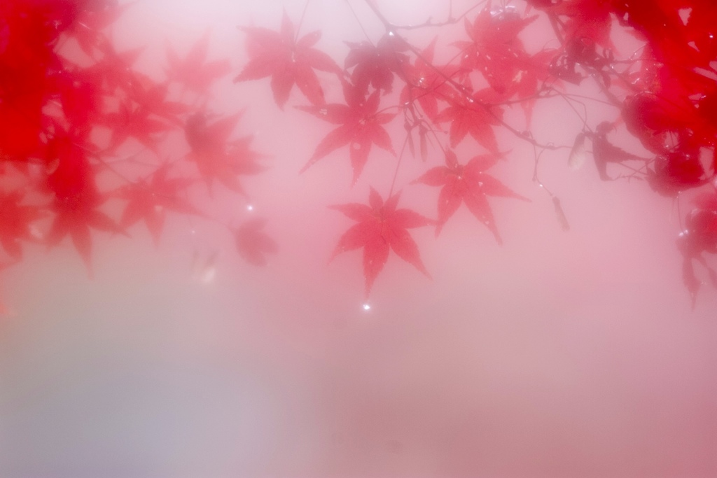 雨の色