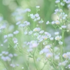 朝の光の時間