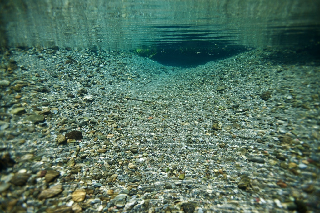 Water
