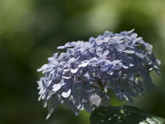 雨の日の記憶